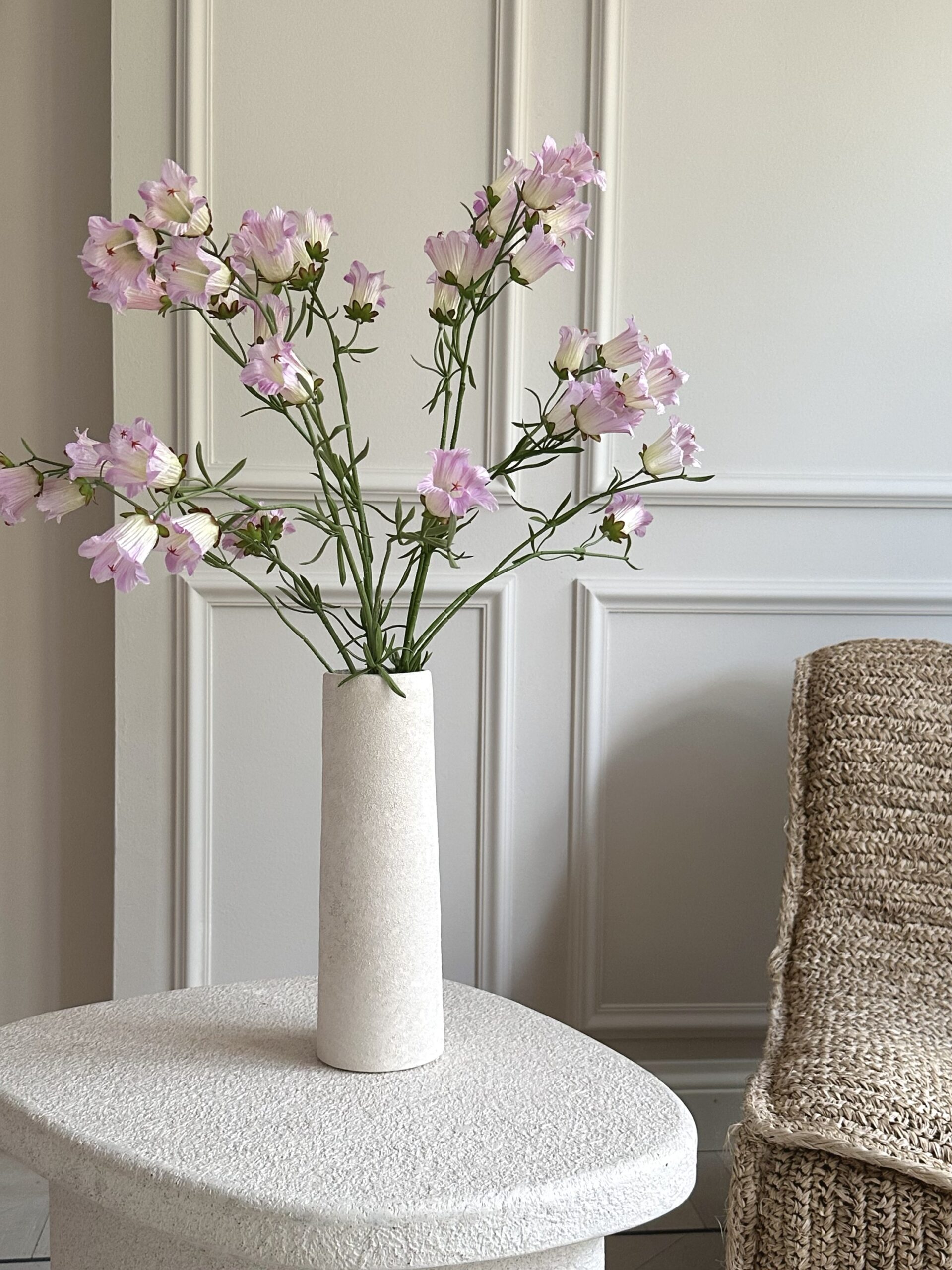 Campanula single stem - Rose's Garden